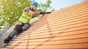 Best Roof Maintenance and Cleaning  in Pearson, GA